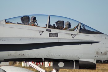 CE.15-08 - Spain - Air Force McDonnell Douglas EF-18B Hornet