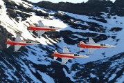 J-3087 - Switzerland - Air Force:  Patrouille de Suisse Northrop F-5E Tiger II aircraft