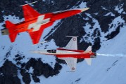 J-3082 - Switzerland - Air Force:  Patrouille de Suisse Northrop F-5E Tiger II aircraft