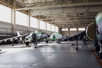 - - Royal Air Force British Aerospace Harrier GR.9