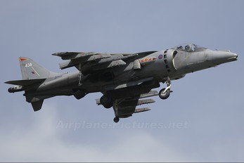ZD431 - Royal Air Force British Aerospace Harrier GR.7