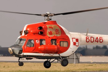 6046 - Poland - Air Force Mil Mi-2