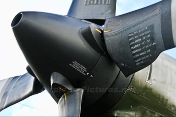 XV202 - Royal Air Force Lockheed Hercules C.3