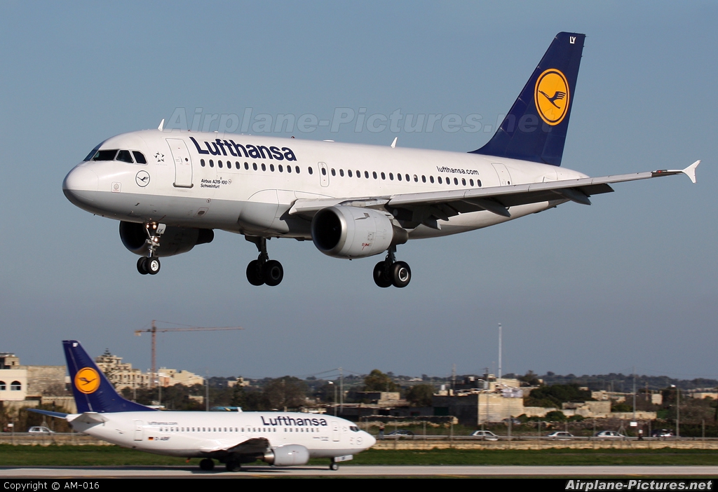 Lufthansa D-AILY aircraft at Malta Intl