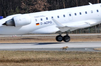 D-ACPG - Lufthansa Regional - CityLine Canadair CL-600 CRJ-701
