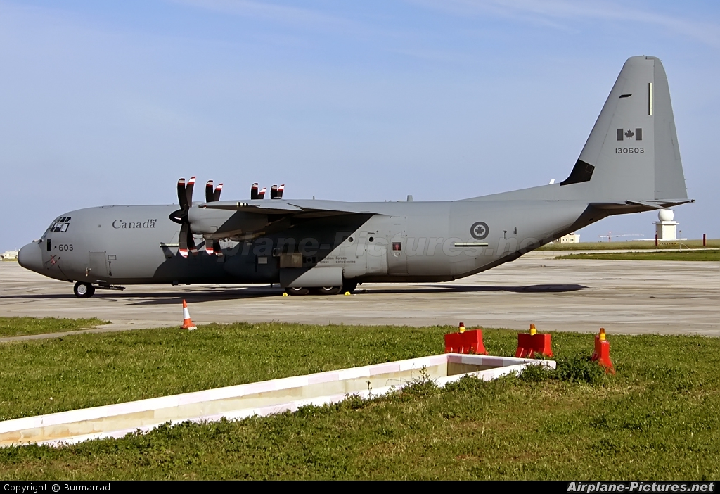 Canada - Air Force 130603 aircraft at Malta Intl