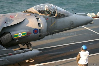 ZD431 - Royal Air Force British Aerospace Harrier GR.7