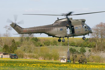 ZA935 - Royal Air Force Westland Puma HC.1