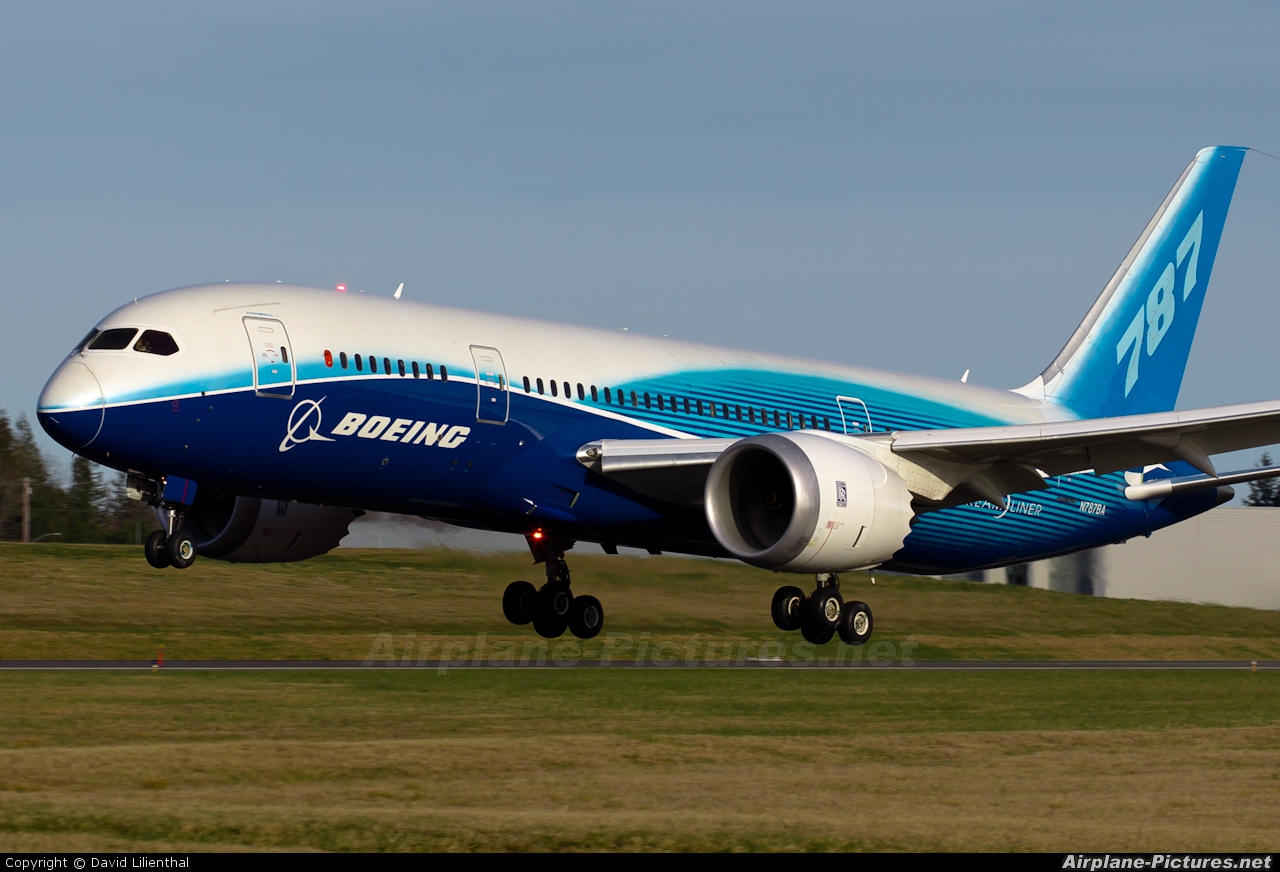 Boeing Company N787BA aircraft at Everett - Snohomish County / Paine Field
