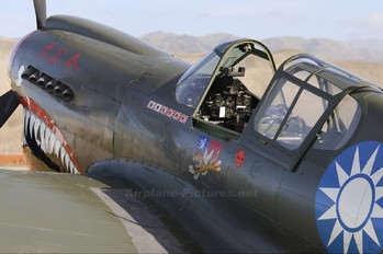 NZ3009 - Private Curtiss P-40E Warhawk
