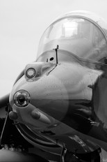 ZG506 - Royal Air Force British Aerospace Harrier GR.9
