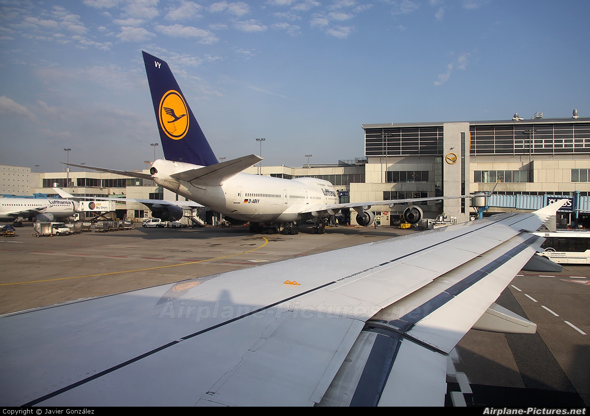 Lufthansa D-AILM aircraft at Frankfurt
