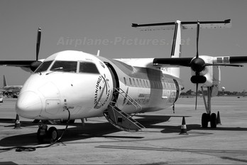 EC-IIB - Air Nostrum - Iberia Regional de Havilland Canada DHC-8-300Q Dash 8