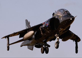 ZD990 - Royal Navy British Aerospace Harrier T.8