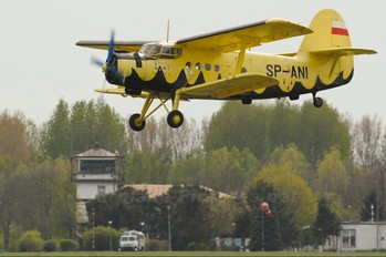 SP-ANI - Aeroklub Gdański Antonov An-2