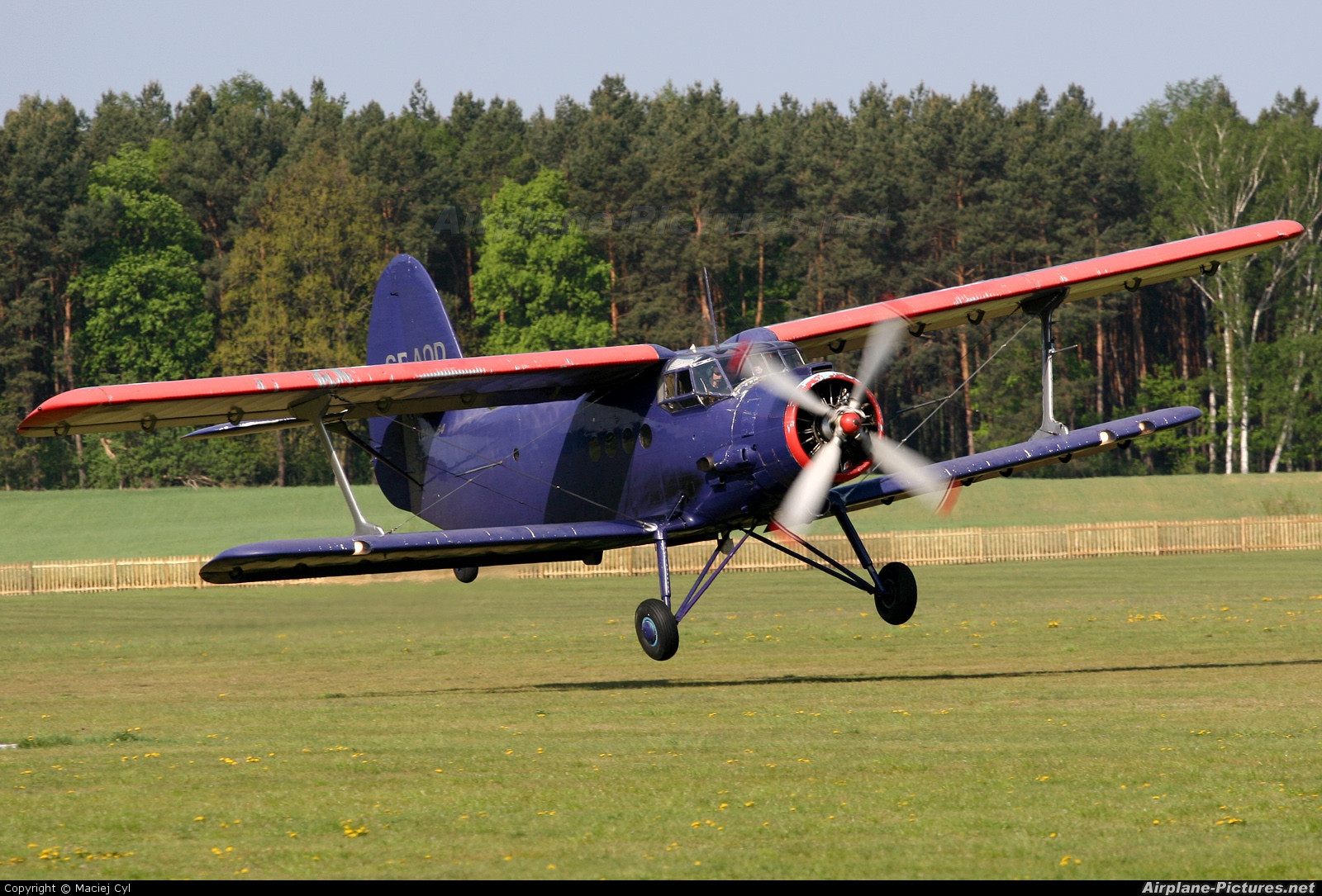 Aeroklub Ziemi Lubuskiej SP-AOD aircraft at Zielona Góra - Przylep