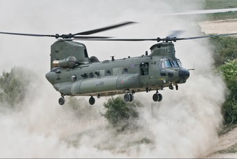ZH904 - Royal Air Force Boeing Chinook HC.3