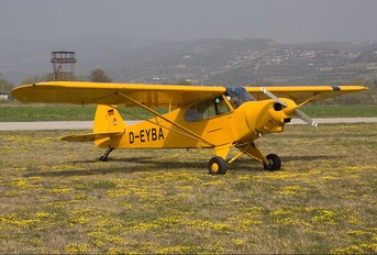 D-EYBA - Private Piper PA-18 Super Cub