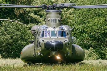 ZH903 - Royal Air Force Boeing Chinook HC.3