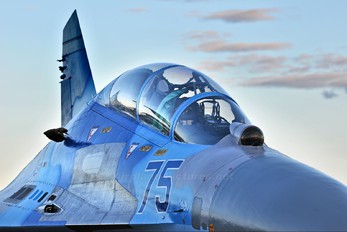 75 - Ukraine - Air Force Sukhoi Su-27UB