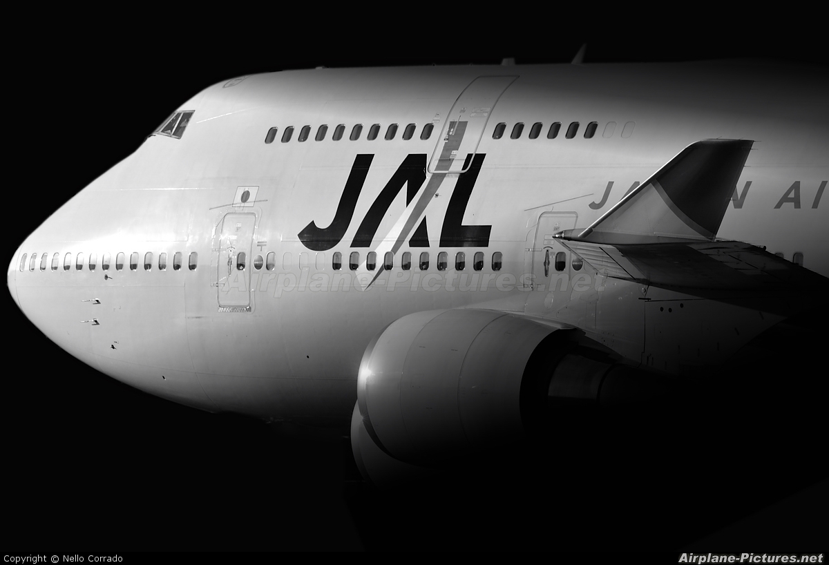 JAL - Japan Airlines JA8081 aircraft at Milan - Malpensa
