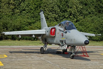 MM7174 - Italy - Air Force AMX International A-11 Ghibli