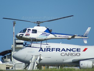 F-OHSE - Hélilagon Aerospatiale AS350 Ecureuil / Squirrel