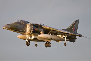ZG506 - Royal Air Force British Aerospace Harrier GR.9