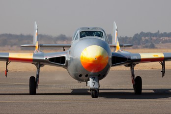 ZU-DFH - South Africa - Air Force Museum de Havilland DH.115 Vampire T.55