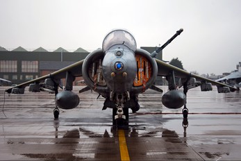 ZD433 - Royal Air Force British Aerospace Harrier GR.9