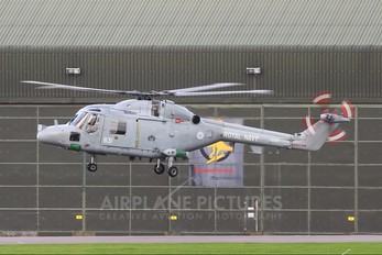 XZ237 - Royal Navy Westland Lynx HAS.3