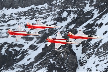 J-3084 - Switzerland - Air Force:  Patrouille de Suisse Northrop F-5E Tiger II