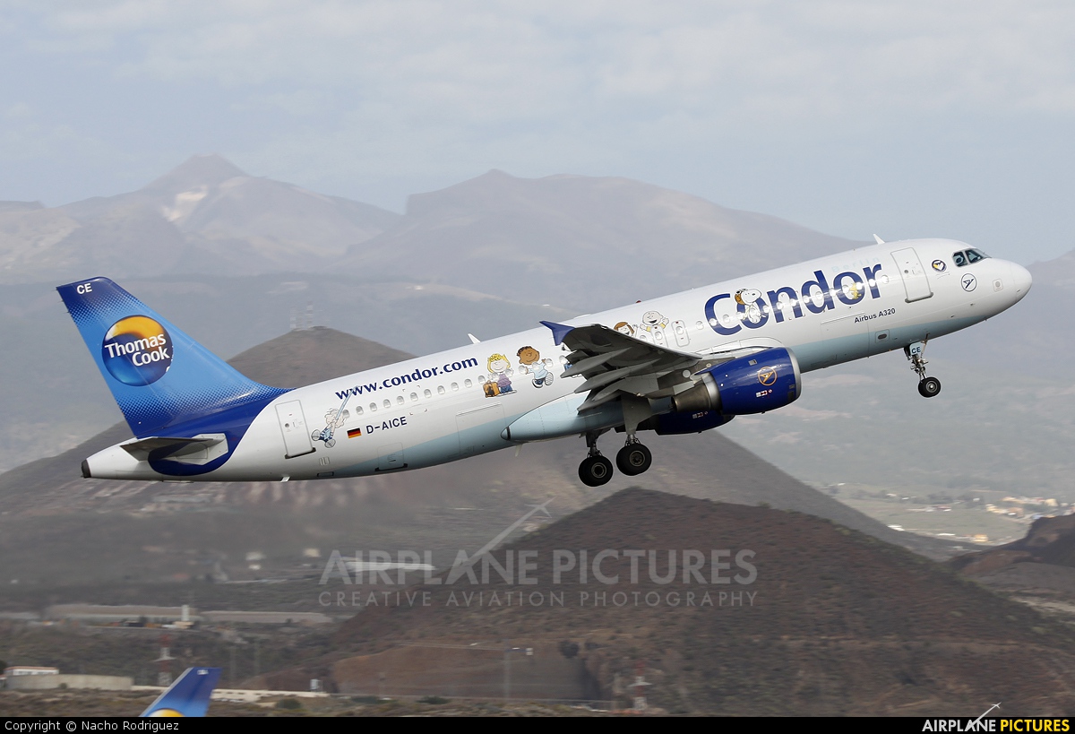 Condor D-AICE aircraft at Tenerife Sur - Reina Sofia