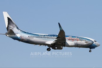 N559AS - Alaska Airlines Boeing 737-800