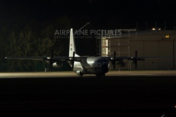 1295 - Egypt - Air Force Lockheed C-130H Hercules