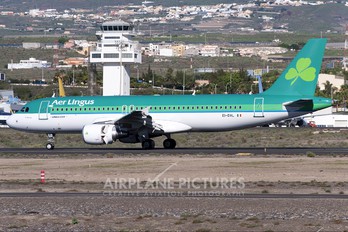 EI-DVL - Aer Lingus Airbus A320