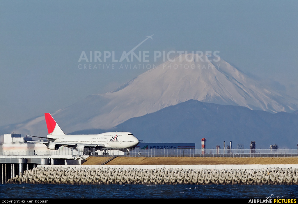 JAL - Japan Airlines JA8084 aircraft at Tokyo - Haneda Intl