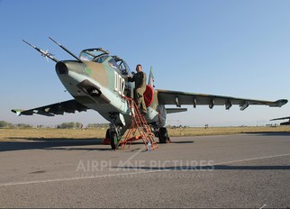 002 - Bulgaria - Air Force Sukhoi Su-25UBK