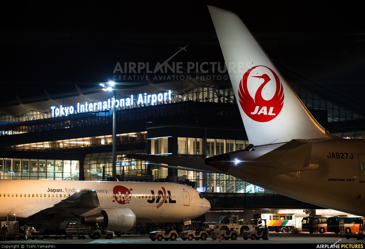 JAL - Japan Airlines JA623J aircraft at Tokyo - Haneda Intl