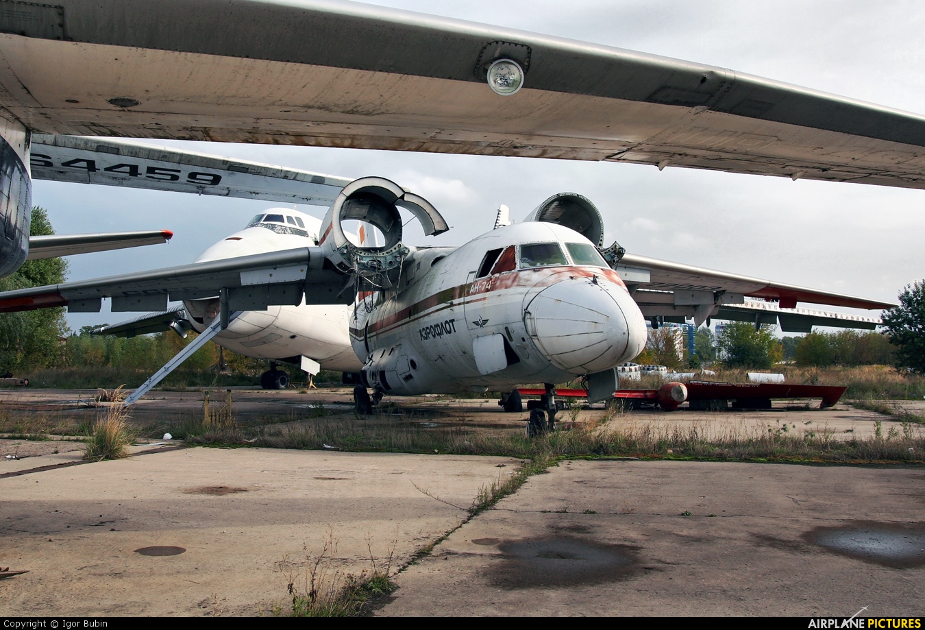Antonov Airlines /  Design Bureau CCCP-72003 aircraft at Kyiv - Gostomel