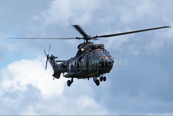 S-440 - Netherlands - Air Force Aerospatiale AS532 Cougar
