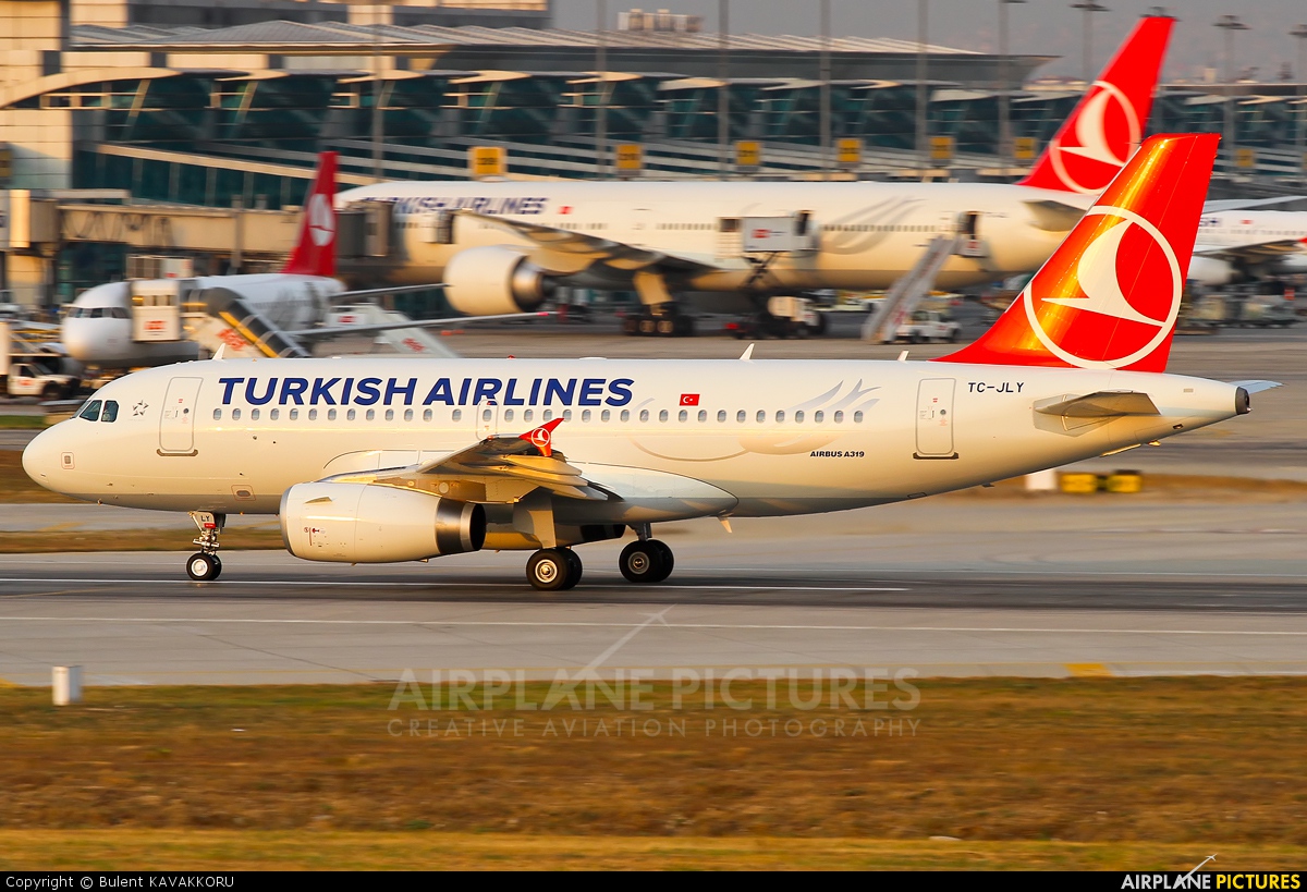 Turkish Airlines TC-JLY aircraft at Istanbul - Ataturk