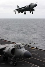 ZH797 - Royal Navy British Aerospace Sea Harrier FA.2