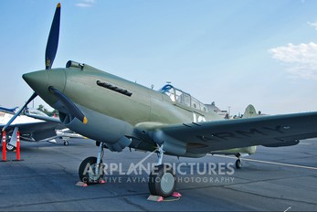 N295RL - Private Curtiss P-40C Warhawk