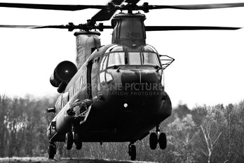 D-665 - Netherlands - Air Force Boeing CH-47D Chinook