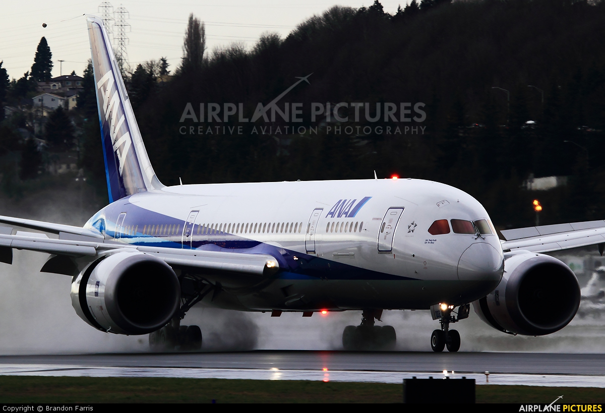 ANA - All Nippon Airways N787EX aircraft at Seattle - Boeing Field / King County Intl