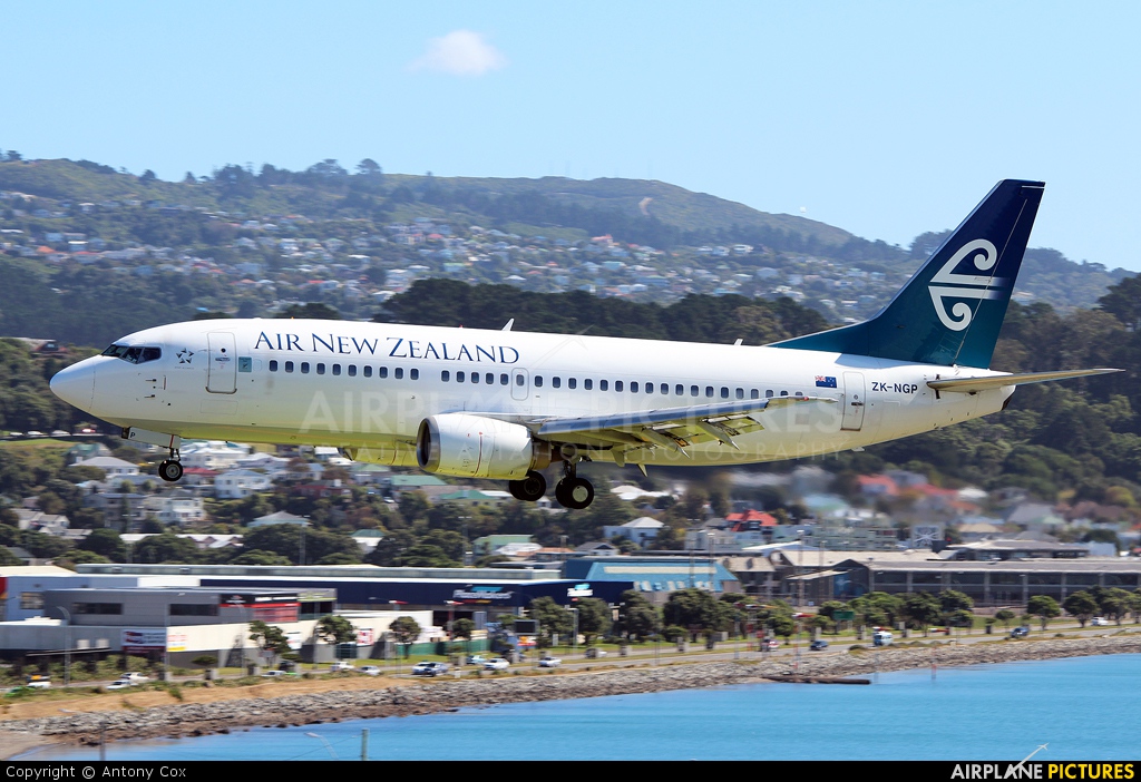 Air New Zealand ZK-NGP aircraft at Wellington Intl
