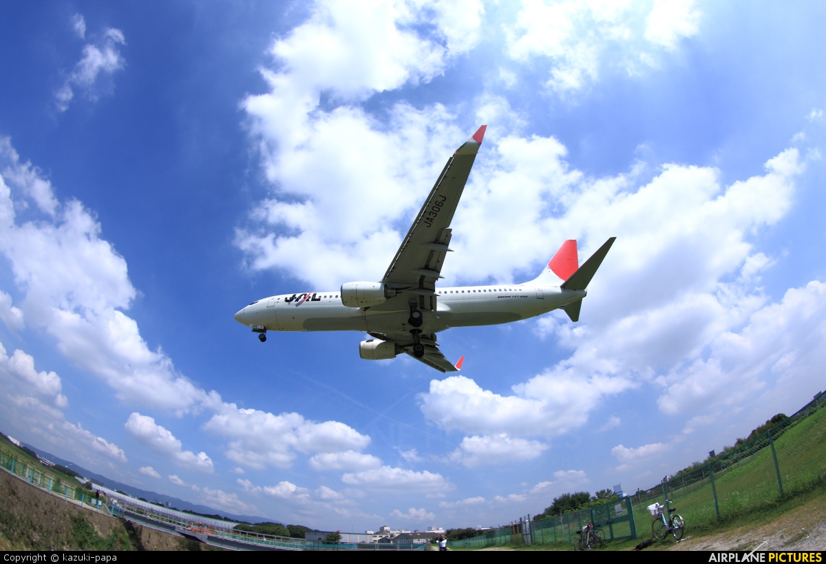 JAL - Japan Airlines JA306J aircraft at Osaka - Itami Intl