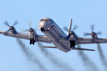RA-75676 - Russia - Air Force Ilyushin Il-18 (all models)
