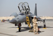 Bahrain - Air Force 85-0053 image